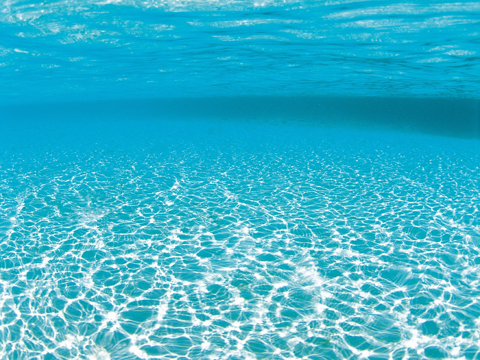 毎日健康!コージン